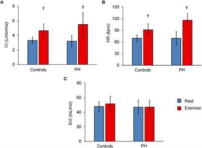 Exercise-Induced Changes in Pulmonary Artery Stiffness in Pulmonary Hypertension